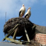 0905F 26 Stendal-Hamburg : elbe